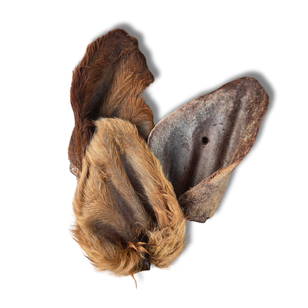 Furry Beef Ear