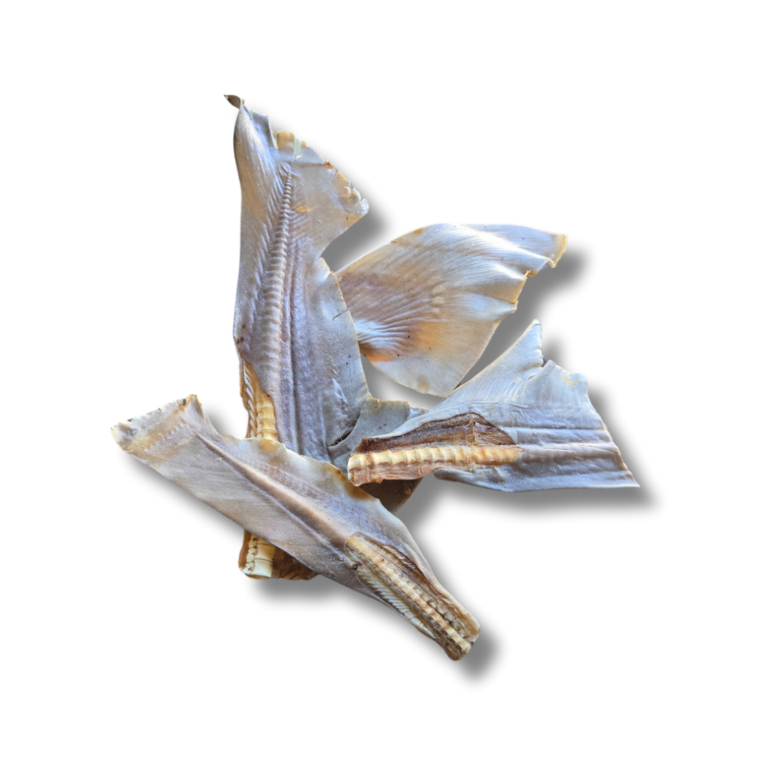 Shark Tail Fin
