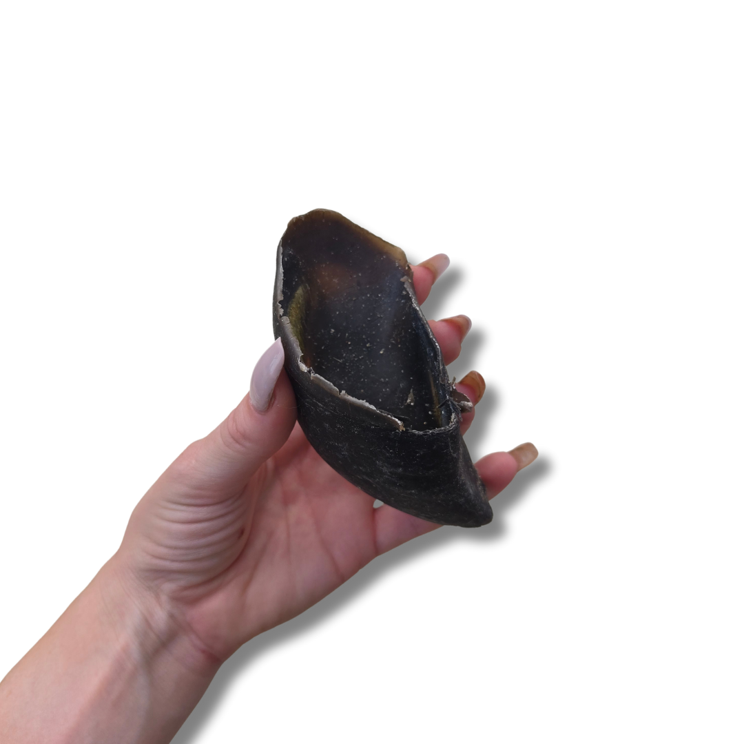 Cow Hooves