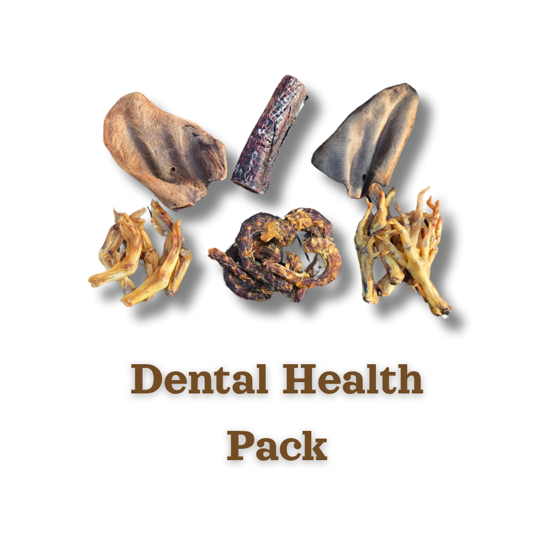 Dental Health Pack