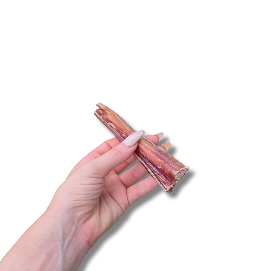 Bully Sticks 15cm