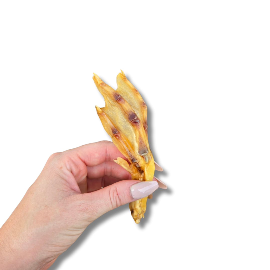 Duck Feet