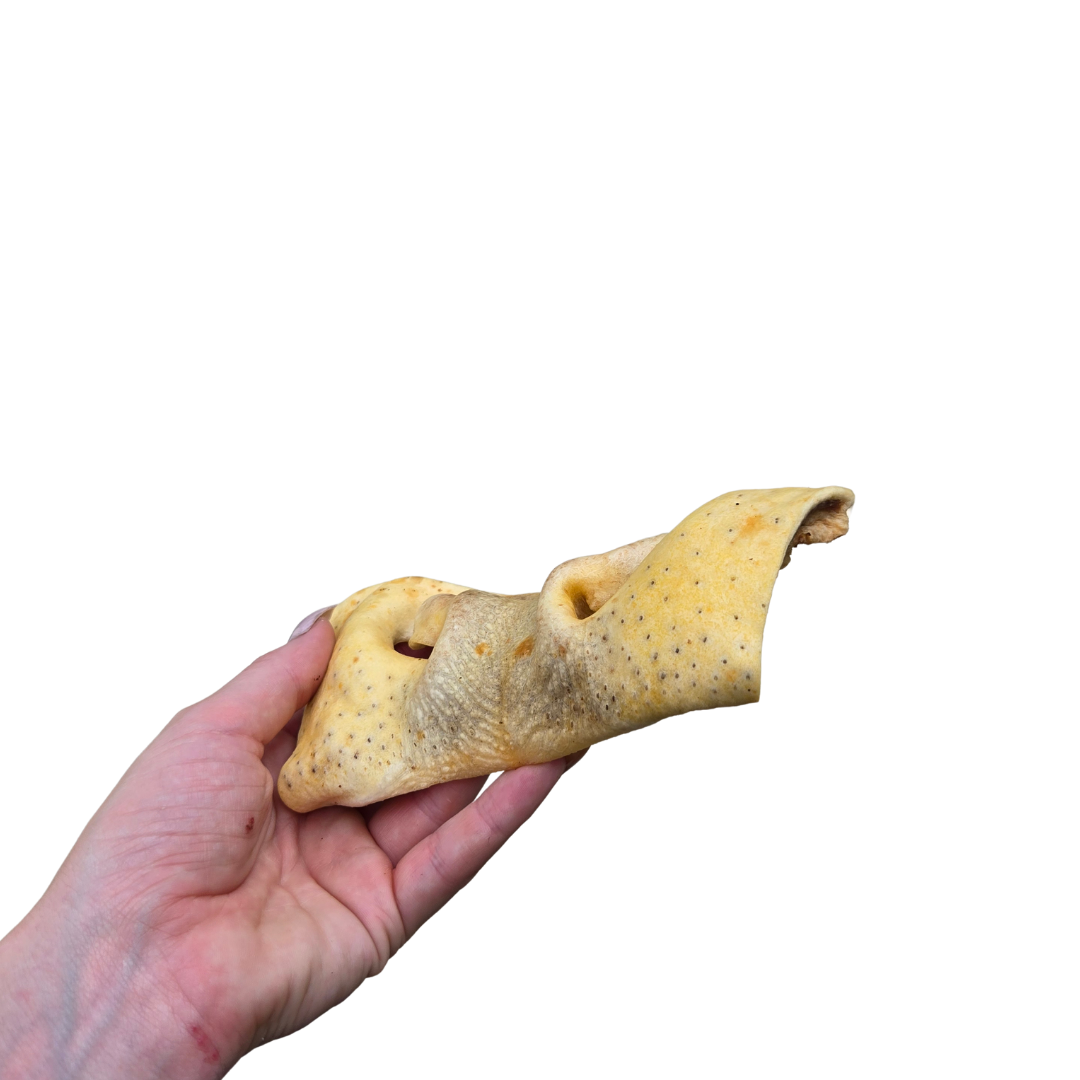 Beef Snout