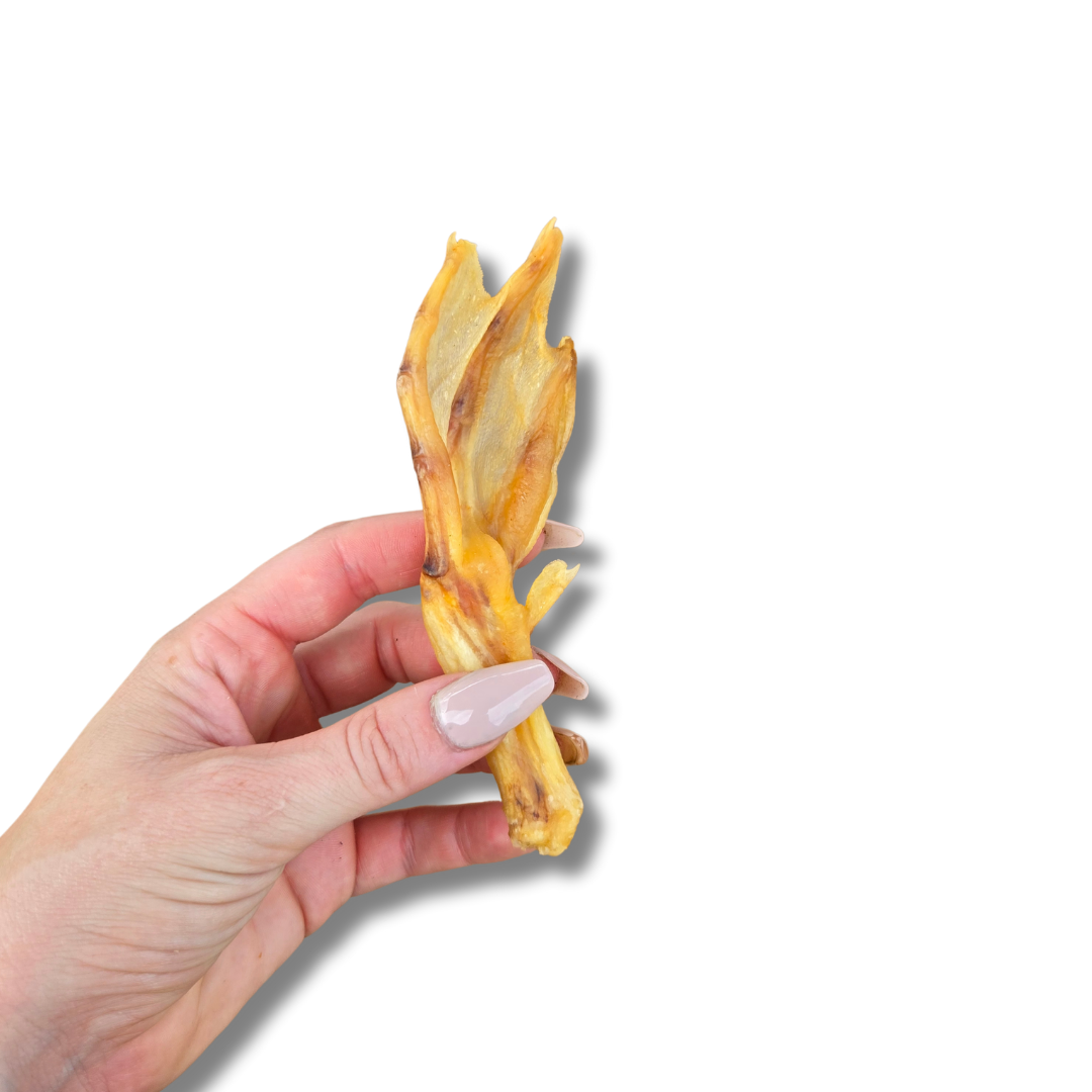 Duck Feet