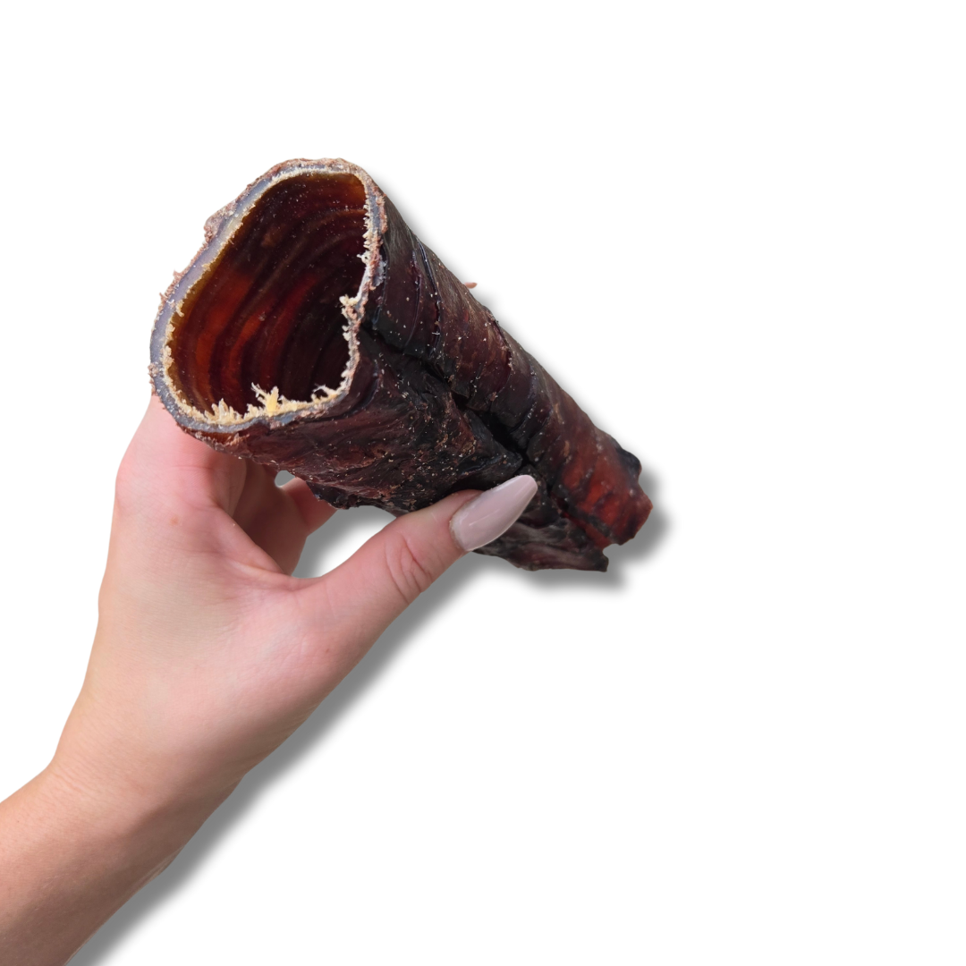 Beef Trachea 15cm