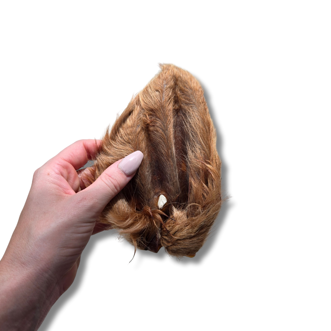 The Power Chewer Pack