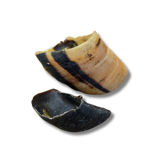 Cow Hooves