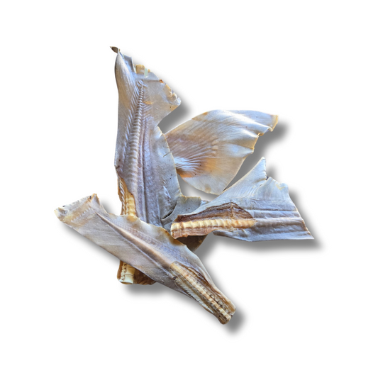 Shark Tail Fin