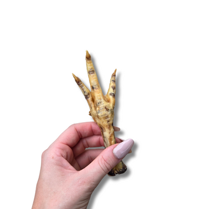 Chicken Feet
