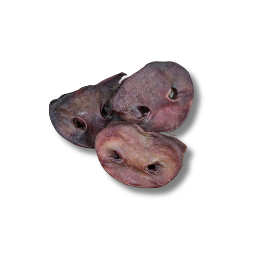 Pig Snout