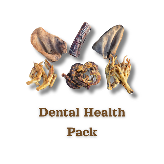 Dental Health Pack