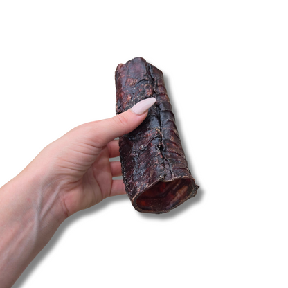 Beef Trachea 15cm