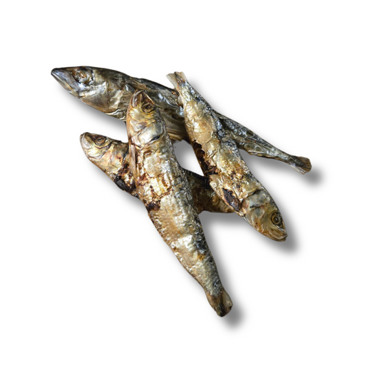 Sardines