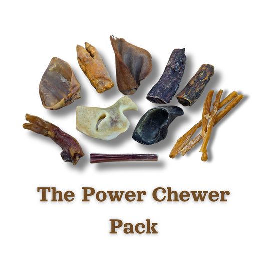 The Power Chewer Pack