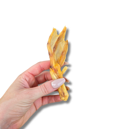 Duck Feet