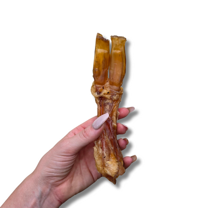 The Power Chewer Pack