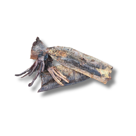Squid Jerky